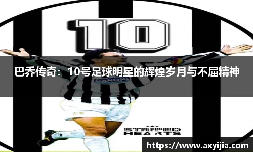 中欧体育