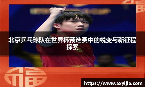 中欧体育