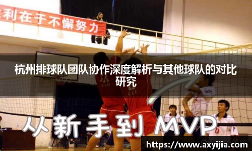 中欧体育官网